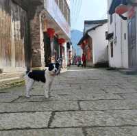 Wandering in ancient WUYI | Countryside 