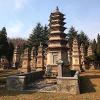 사리탑으로 이룬 숲, 덩펑 천지지중(天地之中) 역사 유적지