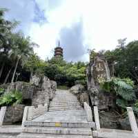 打卡深圳龍華公園
