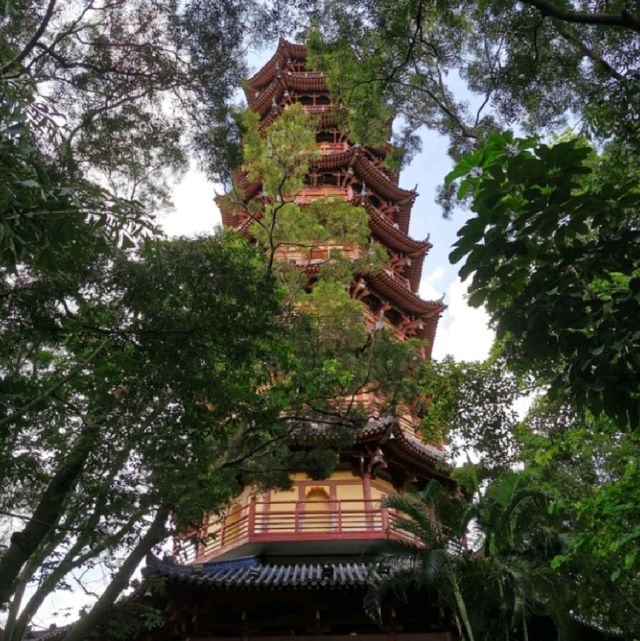 Beautiful pagoda in Longhua park