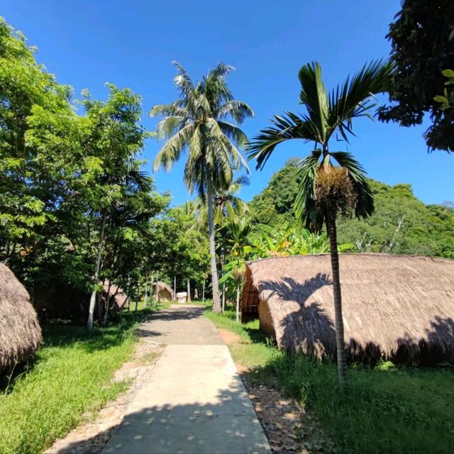 Amazing Baicha Old-Village in Hainan