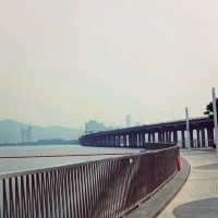 Qianhai bay area 😍