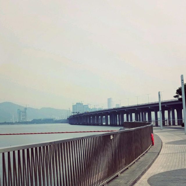 Qianhai bay area 😍