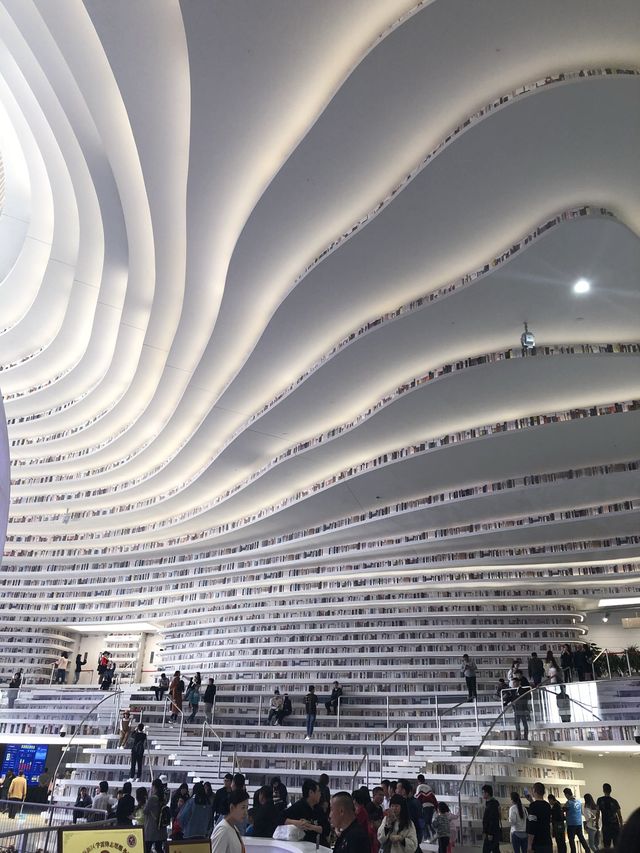 Tianjin Binhai Library 