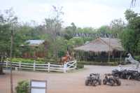🐎ไร่ทอฝัน l TORFUN FRAM PHRAE🌿