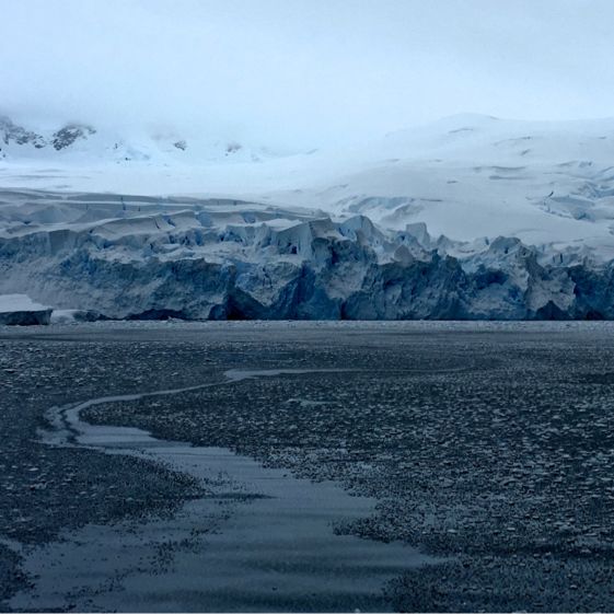 Antarctic Expedition