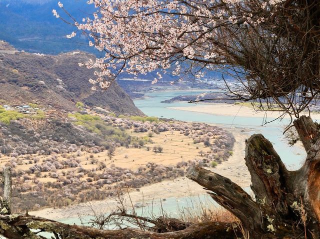 雅魯藏布江索松村