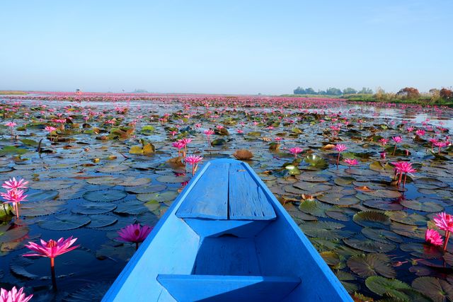 Udon Thani | A treasure trove in northeastern Thailand worth exploring in depth.