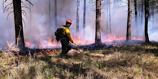 Learn and Burn | 886 Indian Lake Dr