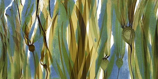 KELP! Art Exhibition & Festival Opening | Mendocino Art Center