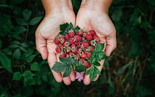 Foraging Walk & Culinary Experience | Miles Green Farm