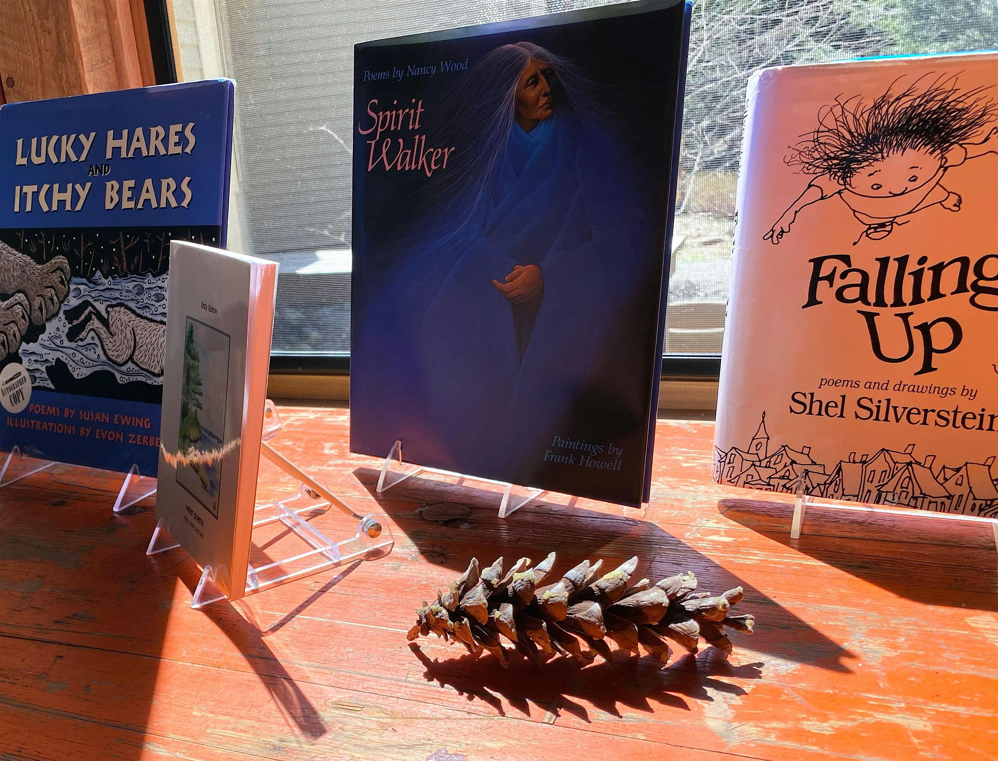 Poetry on the Porch | Pinecone Studio