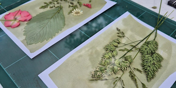 Cyanotype Printing - Windsor Great Park, Saturday 6 September | Windsor Great Park Environmental Centre