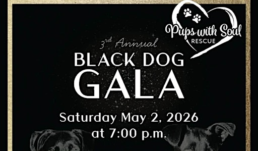 Copy of Black Dog Gala 2025 | The Park Kitchen & Bar