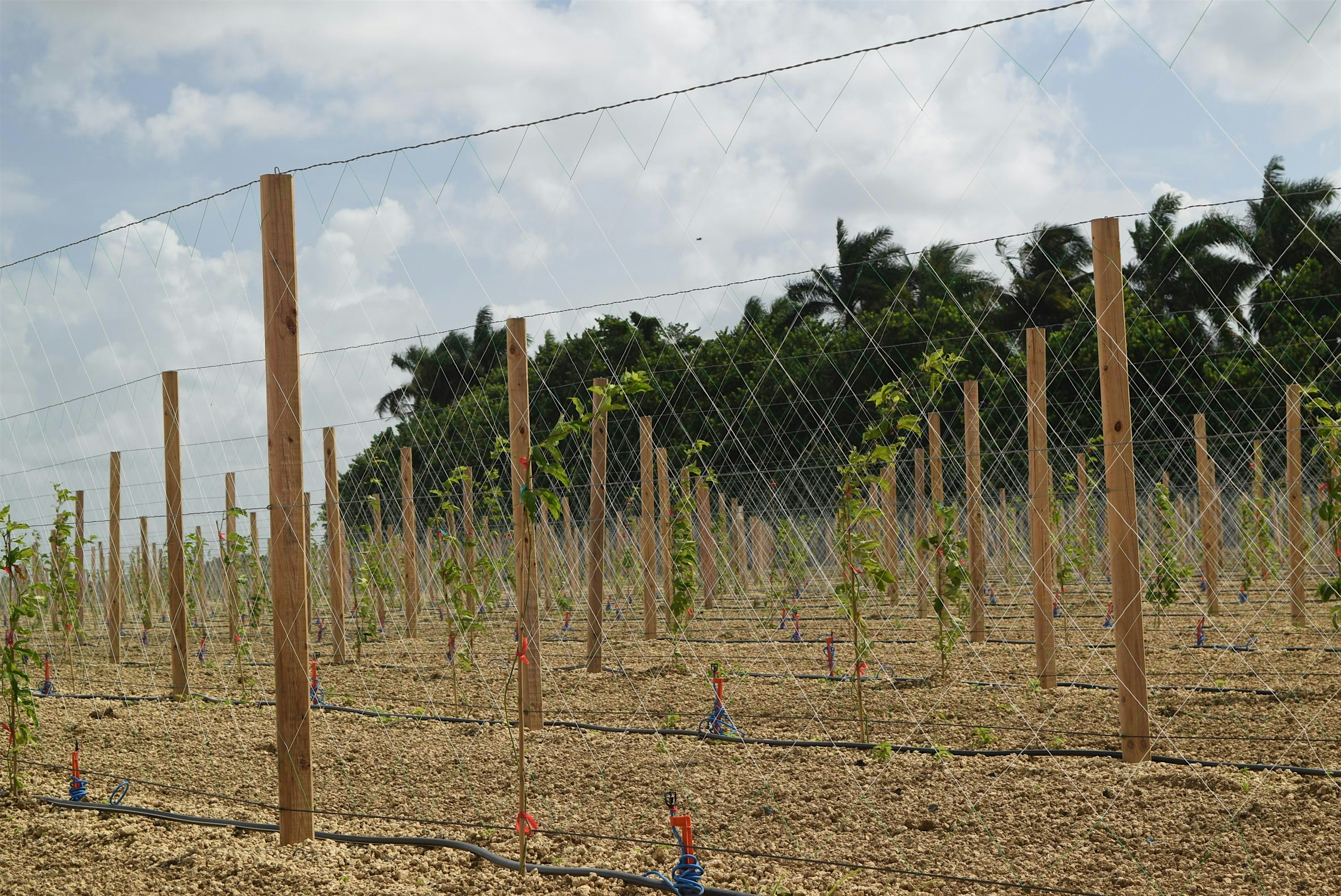 Private Pesticide Test Preparation Training | UF/IFAS Extension Hardee County