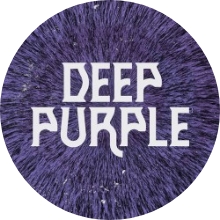 Deep Purple Clearwater Concert Tour 2026｜August 08 | The Baycare Sound