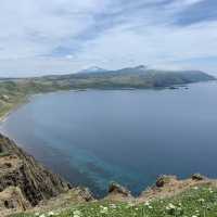 北海道　花の島　礼文島