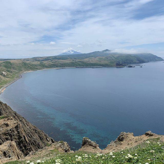 北海道　花の島　礼文島