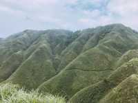 網美朝聖地「抹茶山」聖母山莊步道