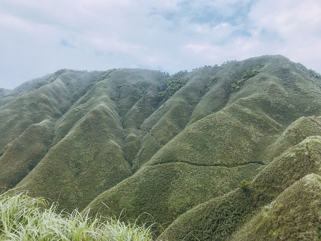 網美朝聖地「抹茶山」聖母山莊步道
