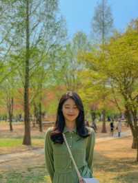 푸릇푸릇한 초록색을 눈에 담을 수 있는 곳, 서울숲