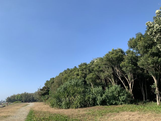 台南安平景點-漁光島