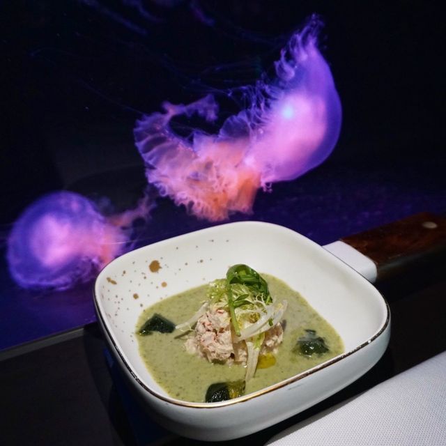 與水母一同晚餐