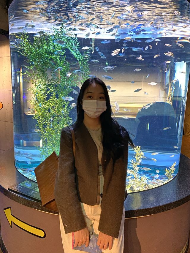 물고기도 털 달린 동물 친구들도 볼 수 있는 코엑스 아쿠아리움🌊