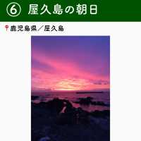 【鹿児島】行ってよかった屋久島の観光地6選