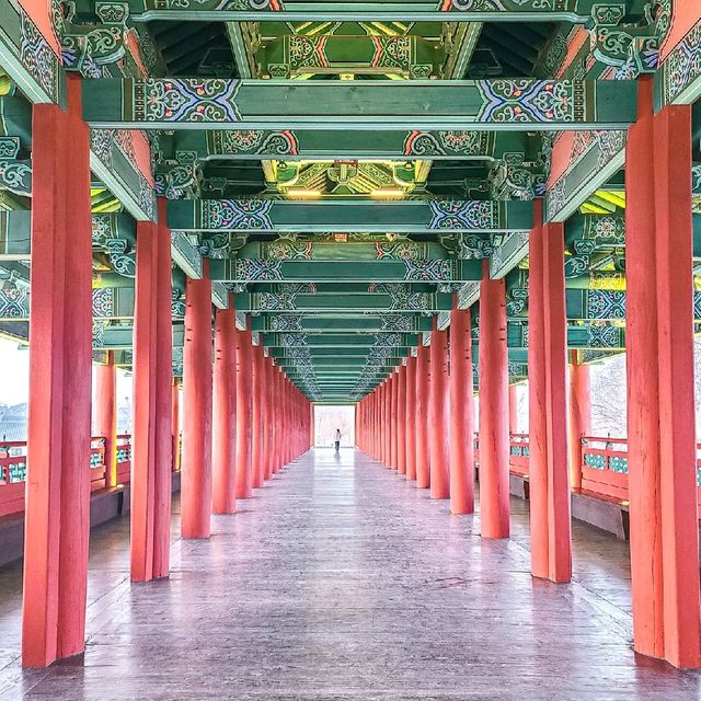 낮과 밤 모두 예쁜 월정교 🌉