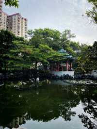 🌸有係時候一齊去公園賞花啦🥳
