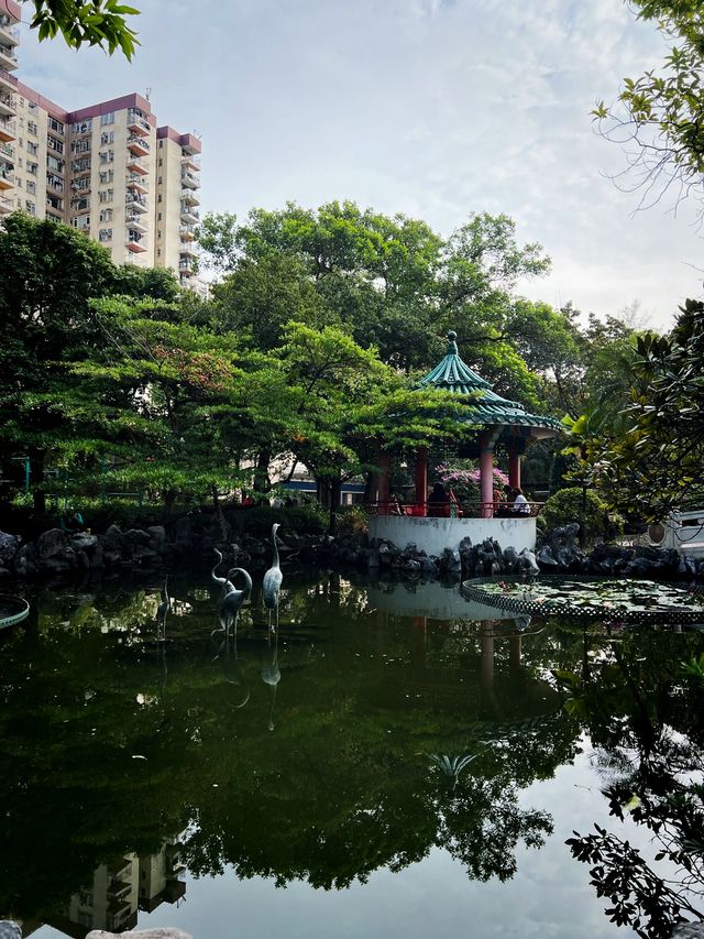 🌸有係時候一齊去公園賞花啦🥳