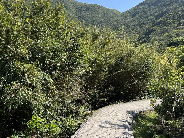 一峰四灣，遠眺香港第一險峰