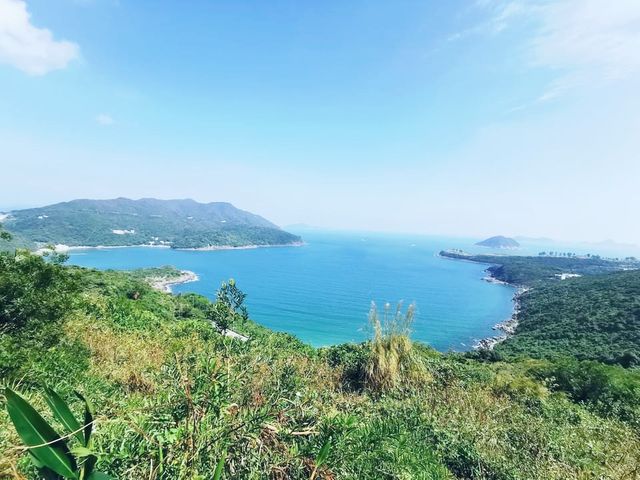 上洋山
