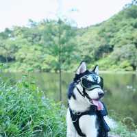 新手郊遊易上手～