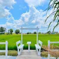 homestay in the middle of padi farm