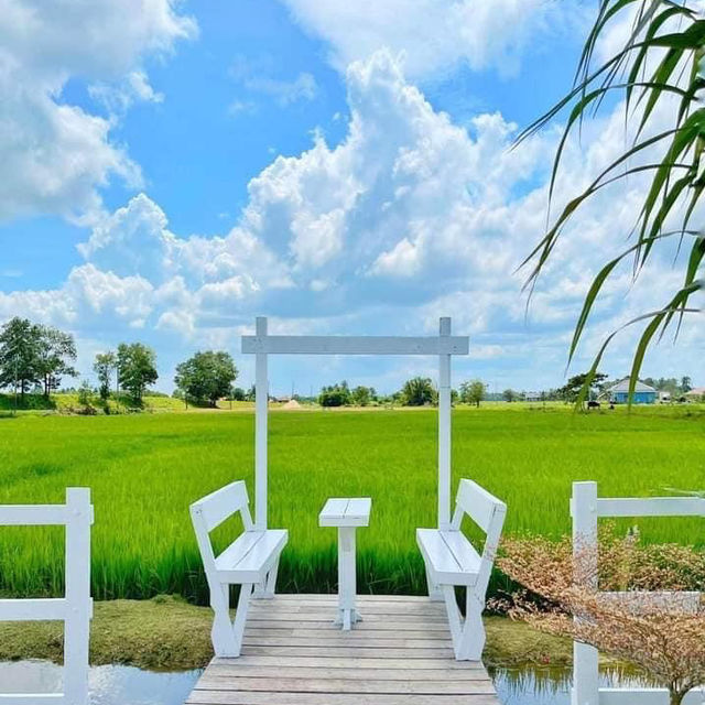 homestay in the middle of padi farm homestay in the middle of padi farm