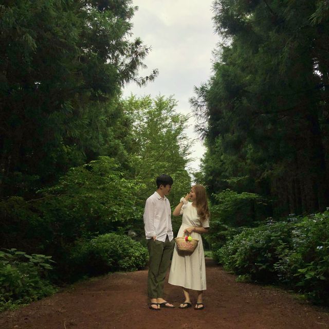 힐링공간 사려니 숲길🌿