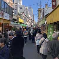 Tsukiji Fish Market