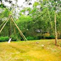 Greenary day out @ Bamboo Garden