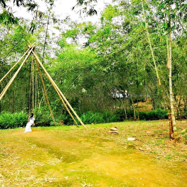 Greenary day out @ Bamboo Garden