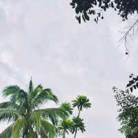Feel the warm welcome of Banahaw Villa🏞️