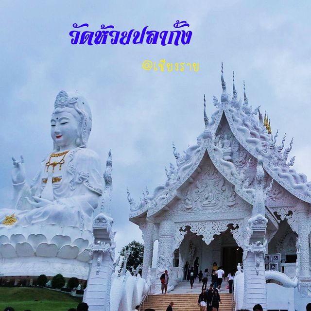 ชมความงามศิลปะจีนและล้านนา ที่วัดห้วยปลากั้งกัน