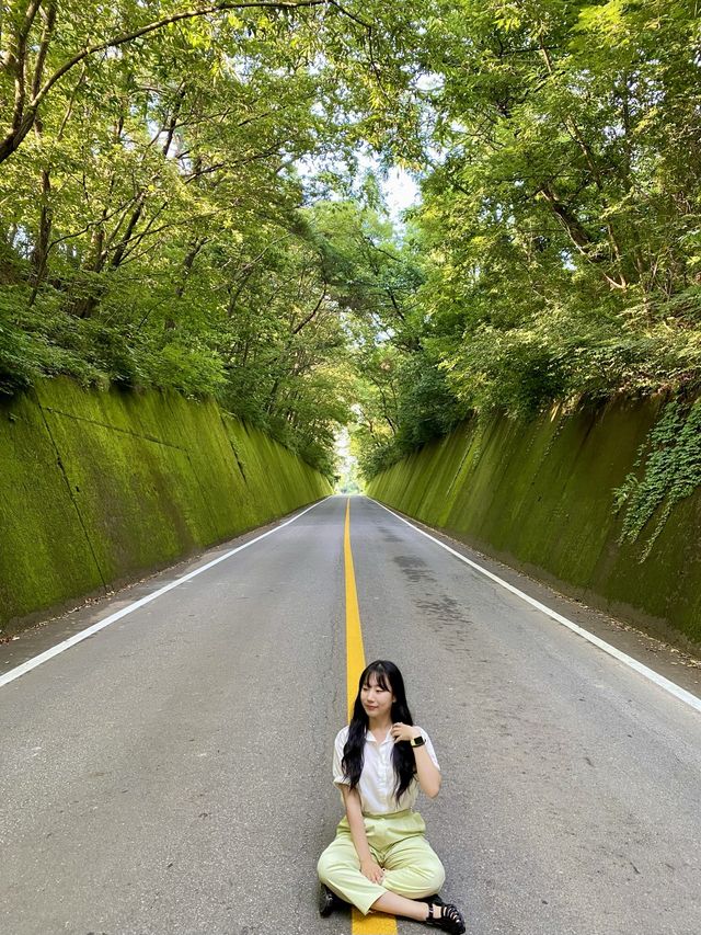 이끼가 모여 만든 신비한 터널, 단양 이끼터널 🍃 
