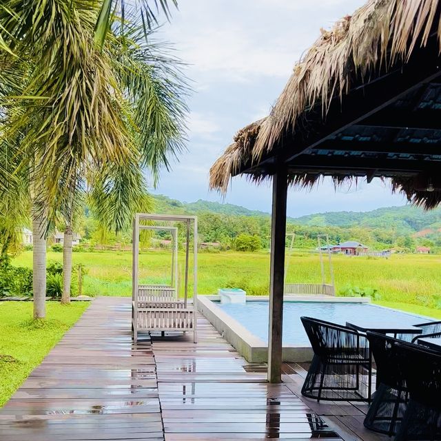 Stay beside paddy field in Langkawi