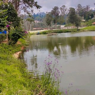 Wellington lake near Coonoor 