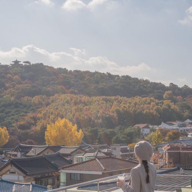 수원의 맛집멋집 카페 ☕️ 정지영커피로스터즈행궁본점