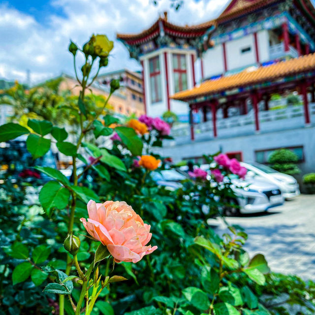 香港的小故宮