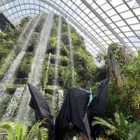 Avatar Cloud Forest launch