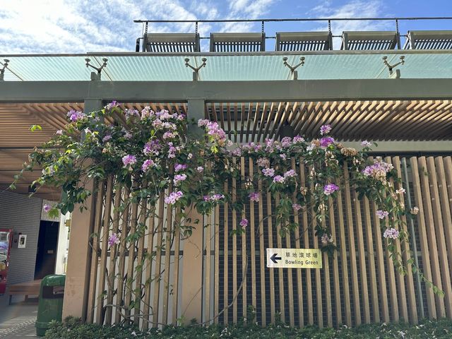 本地遊 | 將軍澳賞花路線 | 由文曲里經海濱走到康城